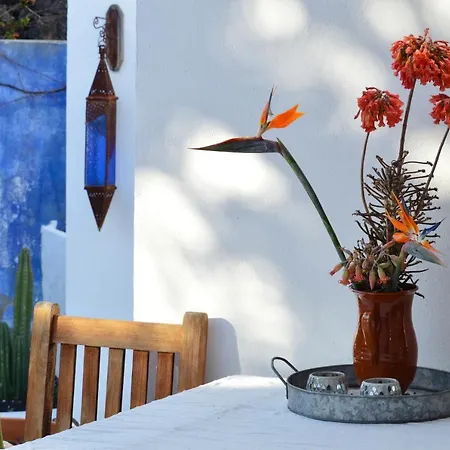 Semesterbostad Stylish House In A Real With Private Garden